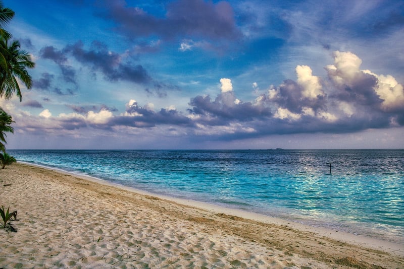 Beach Resort